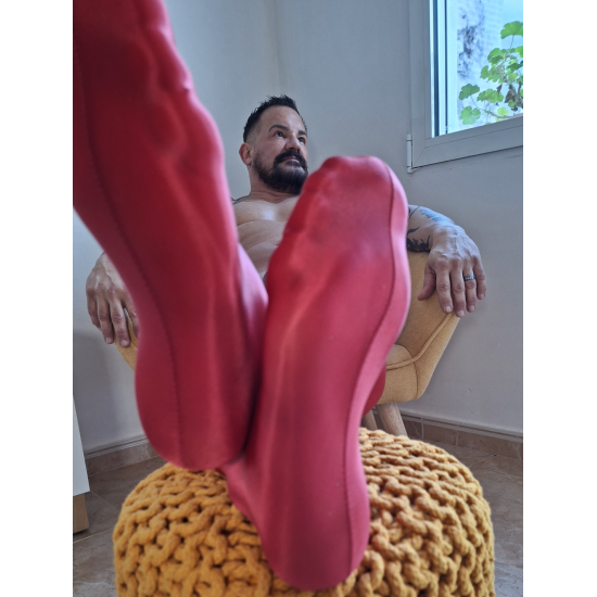 Spandex Ultra Shine Pull-Ups RED/GOLD