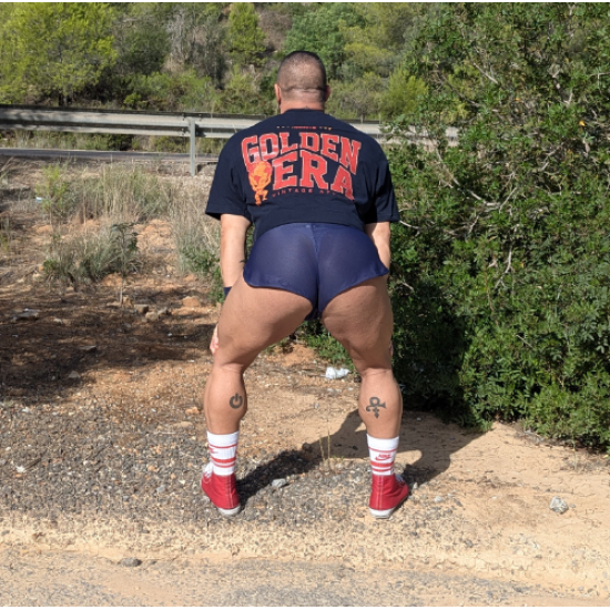 Micro Mesh Stretch Shorts