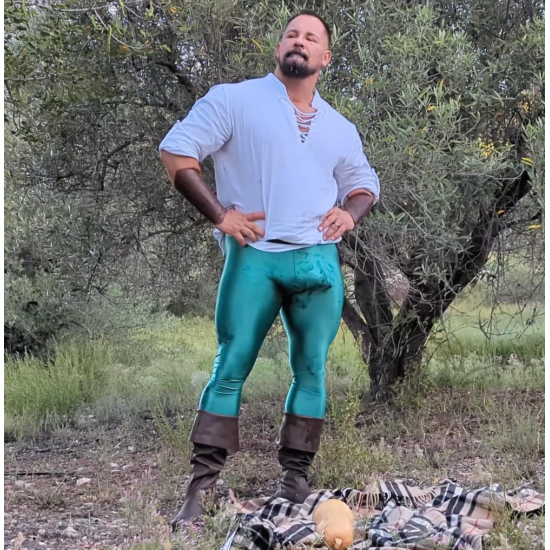 Robin Hood Man In Tights